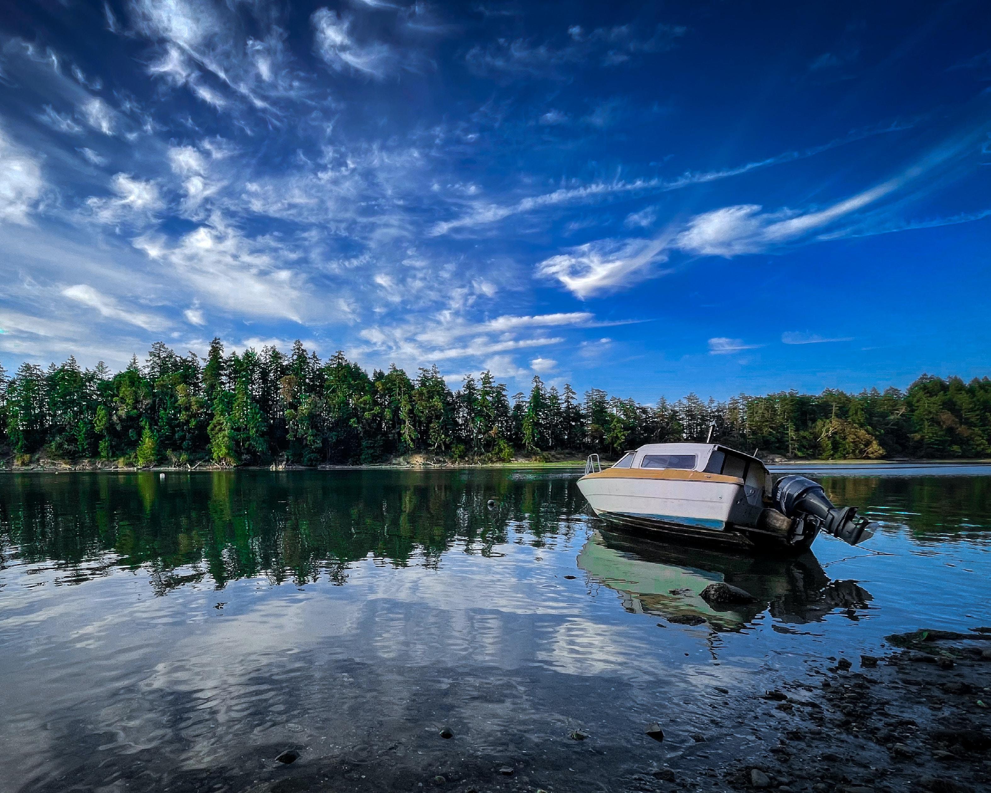 De beren en walvissen van Vancouver Island