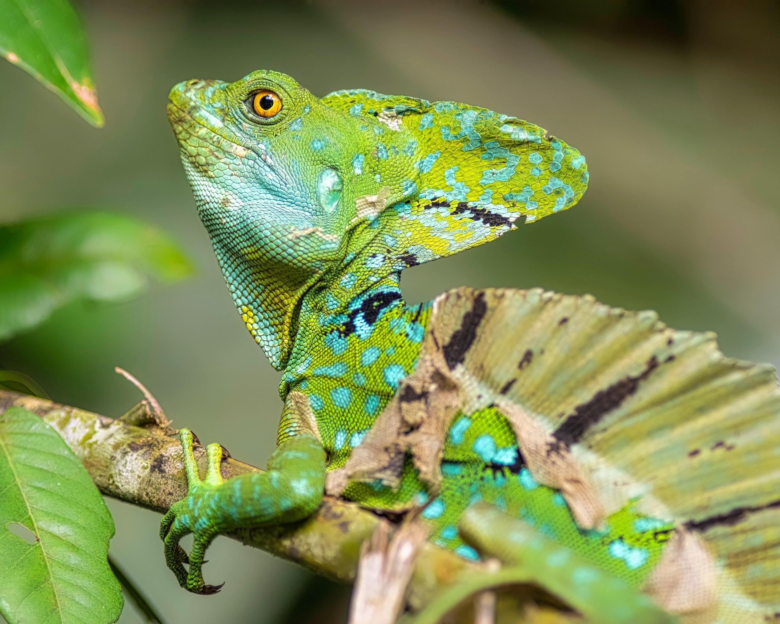 Ontdek het prachtige Costa Rica