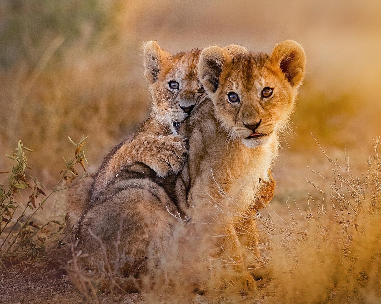 Descopera cu familia: Sejur Charter Bamburi Kenya, februarie