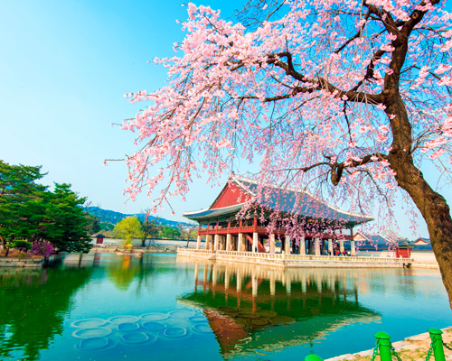 De hoogtepunten van Zuid-Korea afbeelding