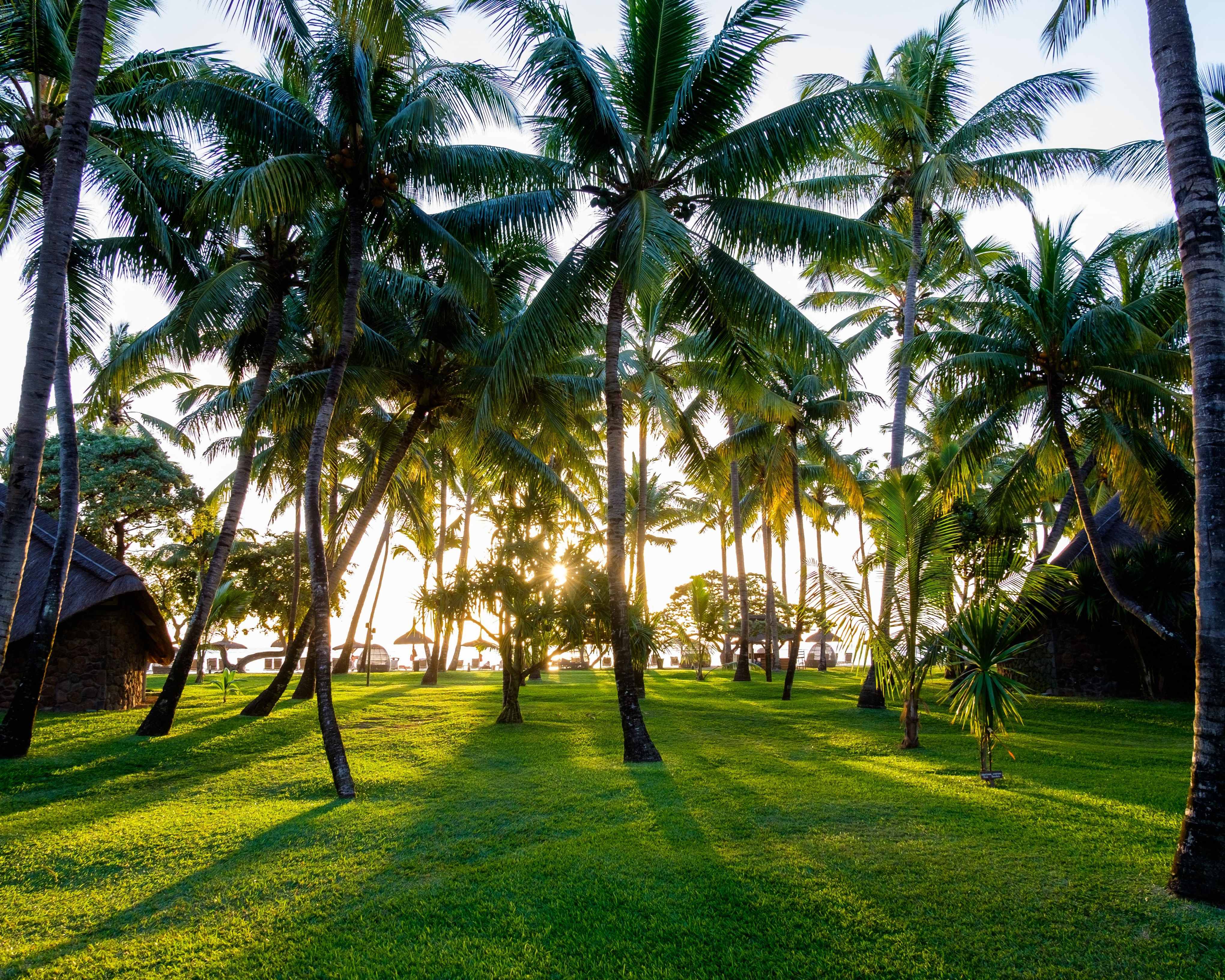 Kleurrijk Mauritius