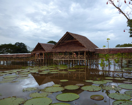 ClaroClub- Tarapoto con vuelo incluido