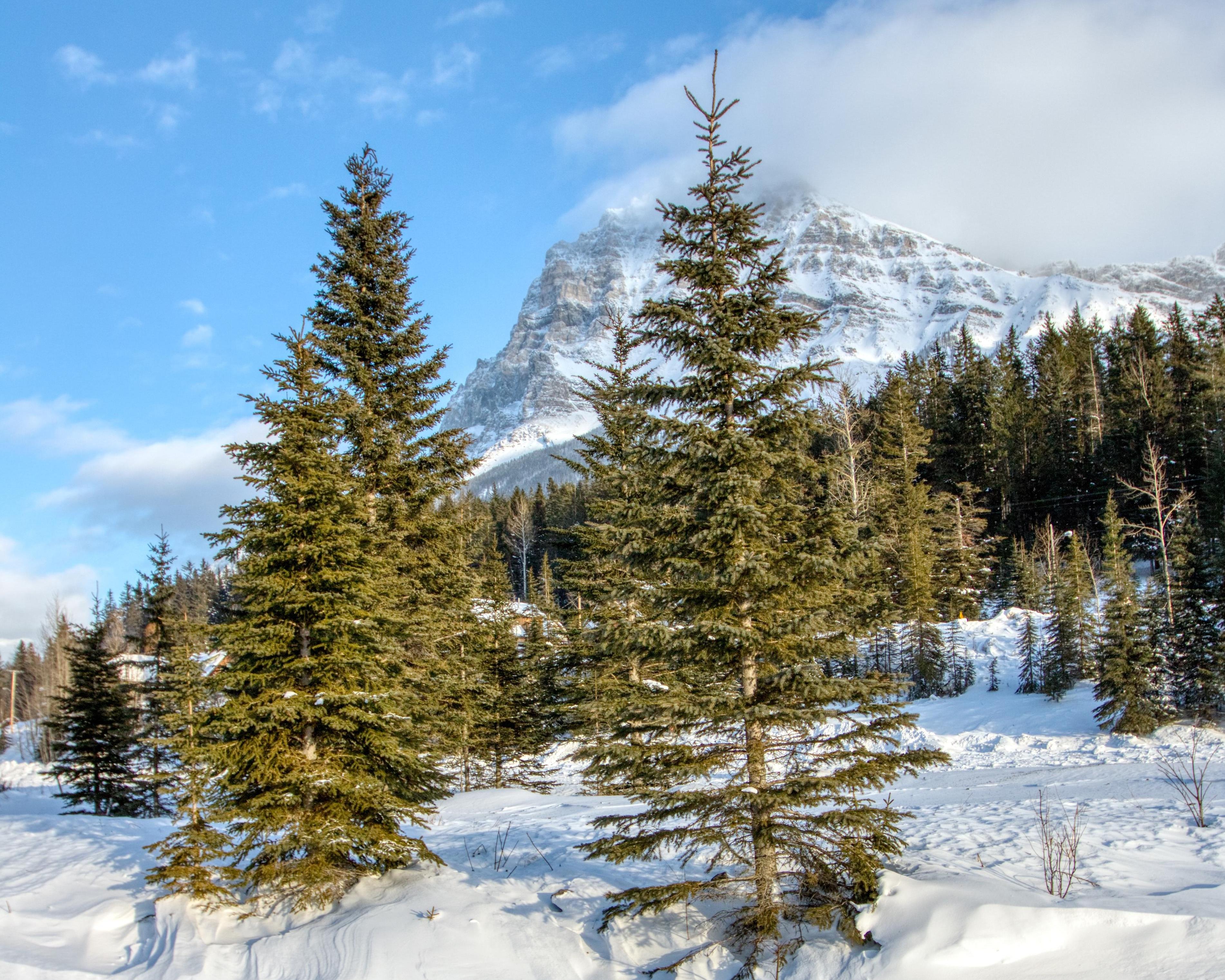 Het mooiste van West-Canada