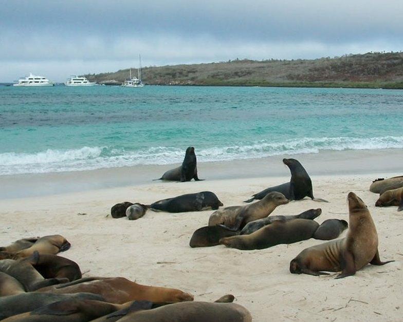 Galápagos Completo 