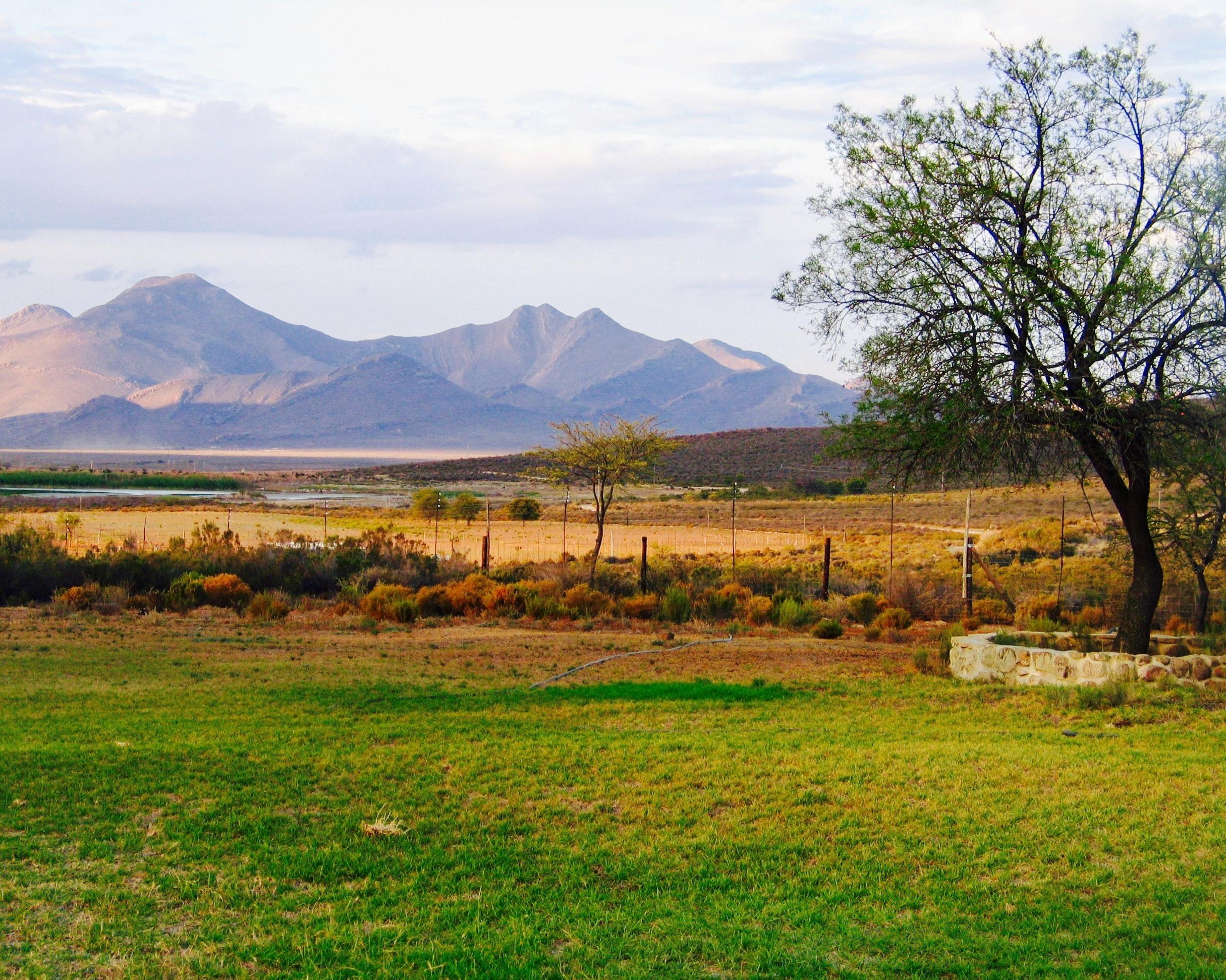 Ontdek de Tuinroute en het Kariega Game Reserve