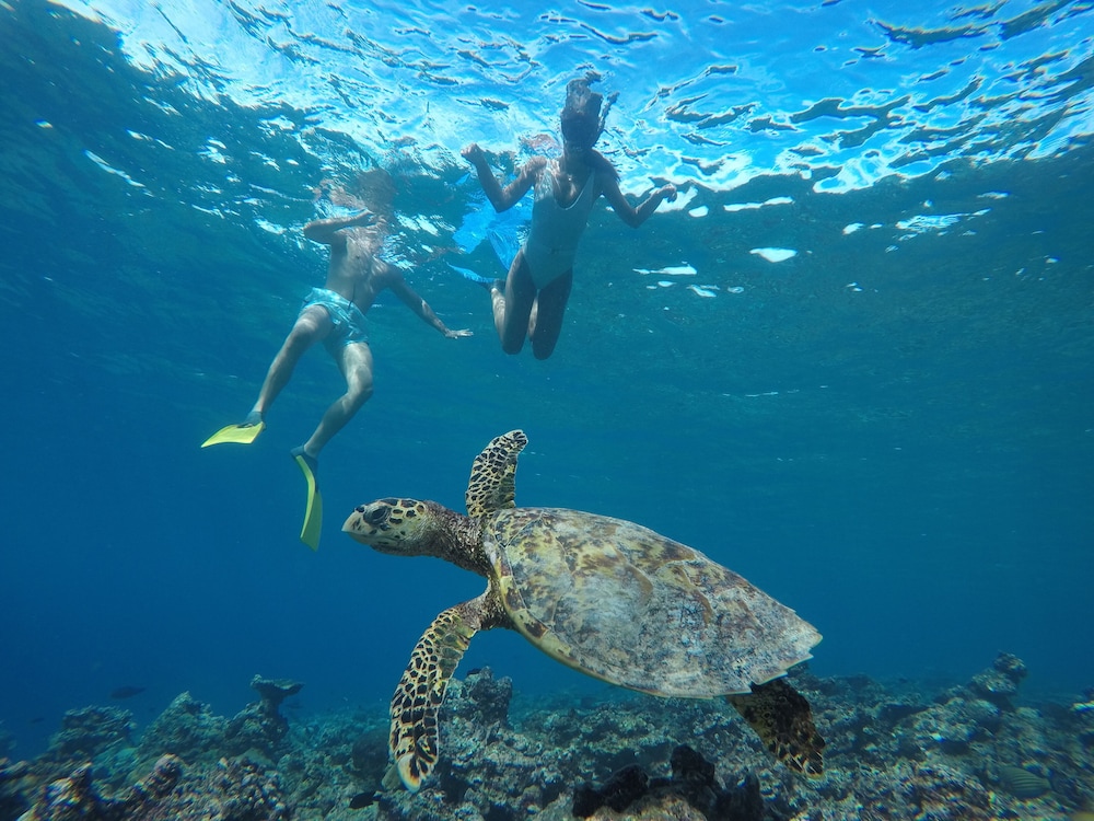 Craciun 2025 cu familia - Sejur plaja Maldive