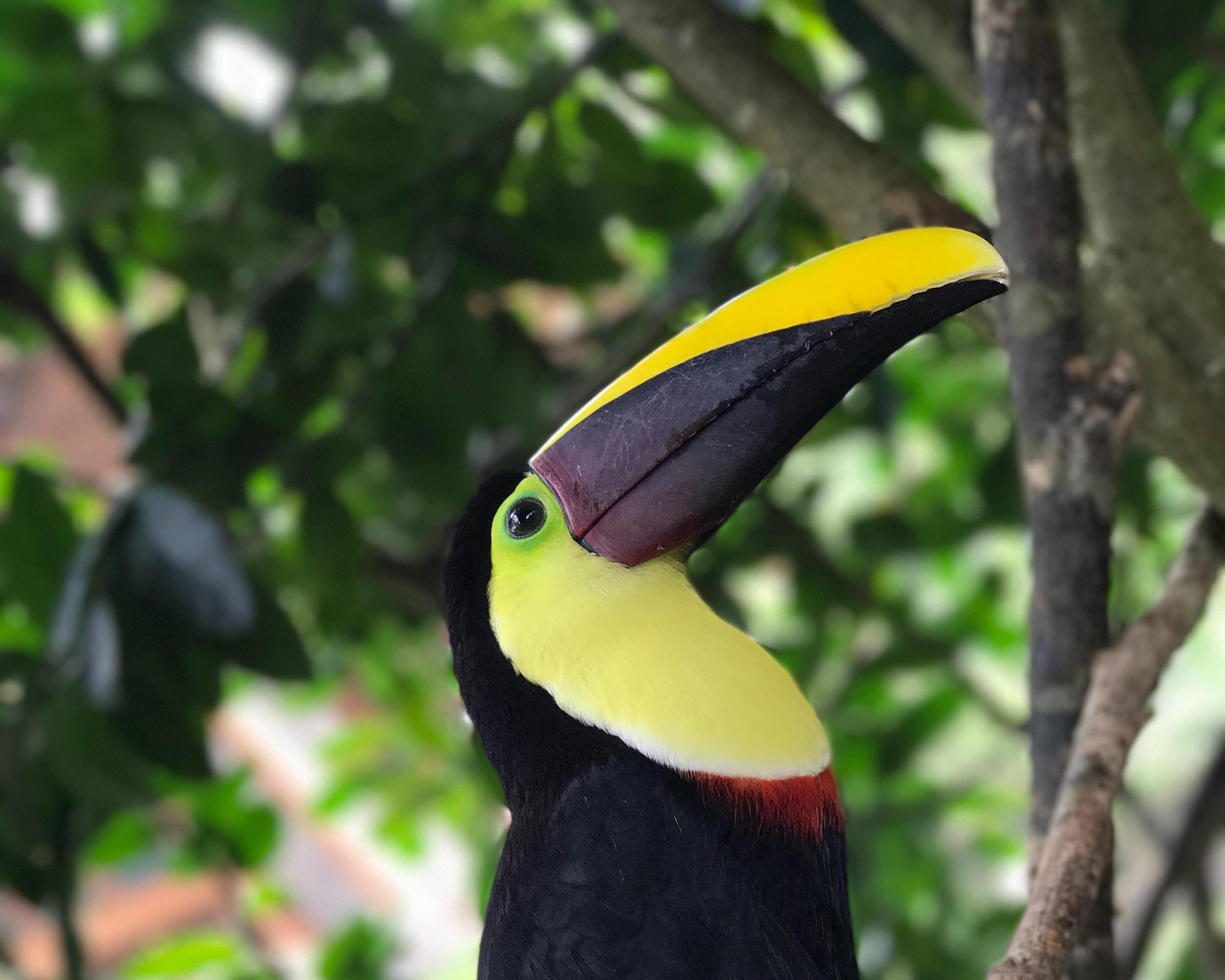 Hoogtepunten van Costa Rica