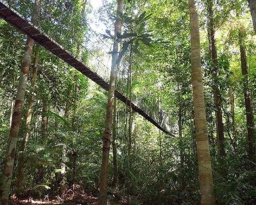Taman Negara, Malaysia