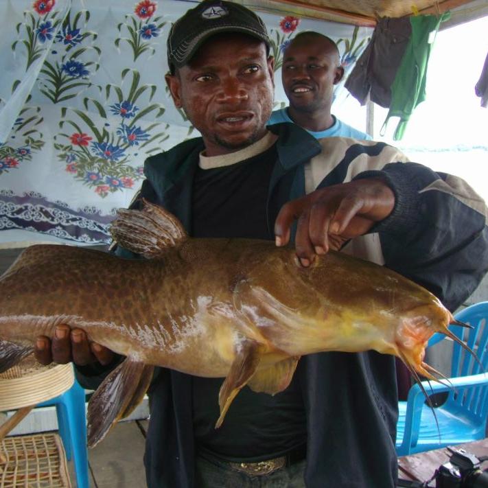 Kribi