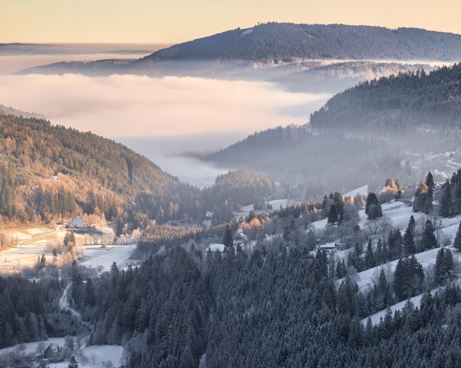 Black Forest, Germany