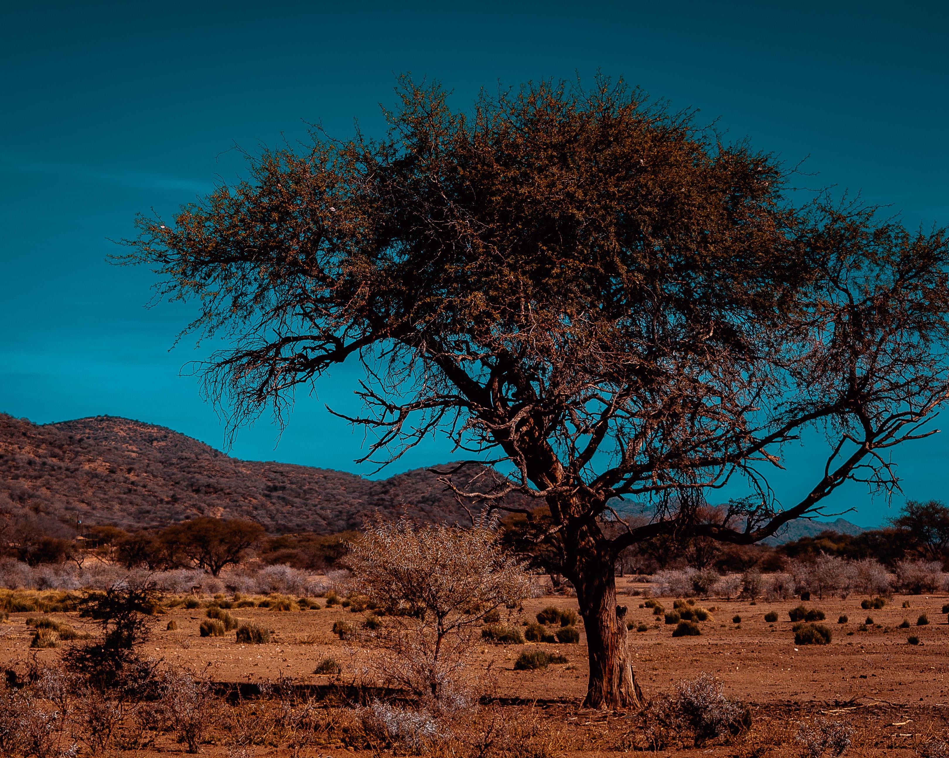 Khomas (Region), Namibia