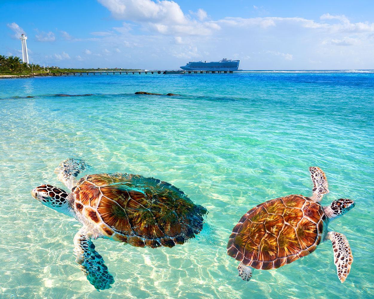 Mexican Treasures - Perfect Honeymoon afbeelding