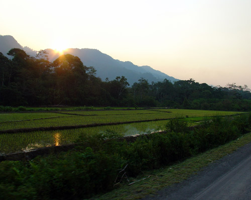 Tarapoto Clásico con vuelo incluido