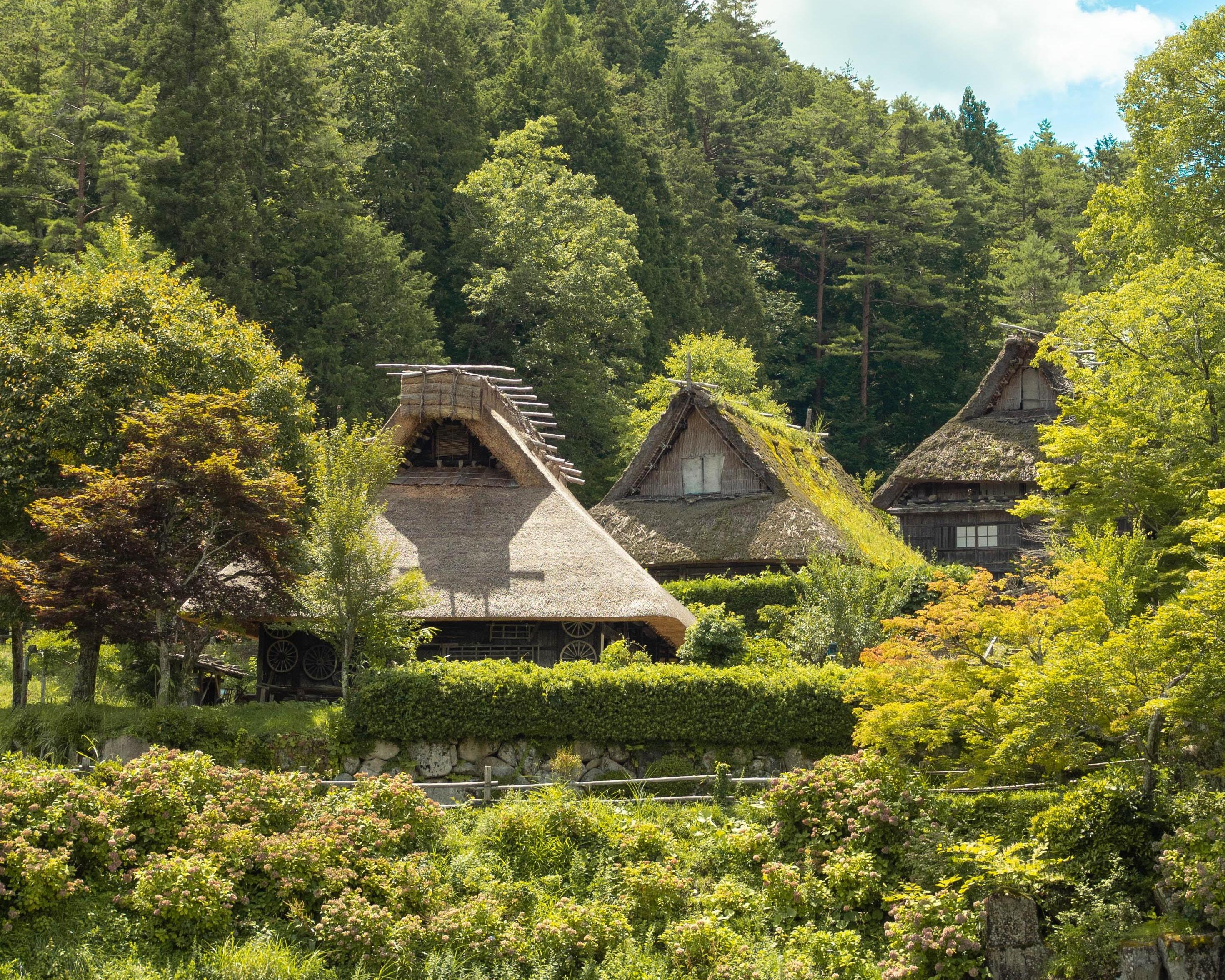 Hoogtepunten van Japan