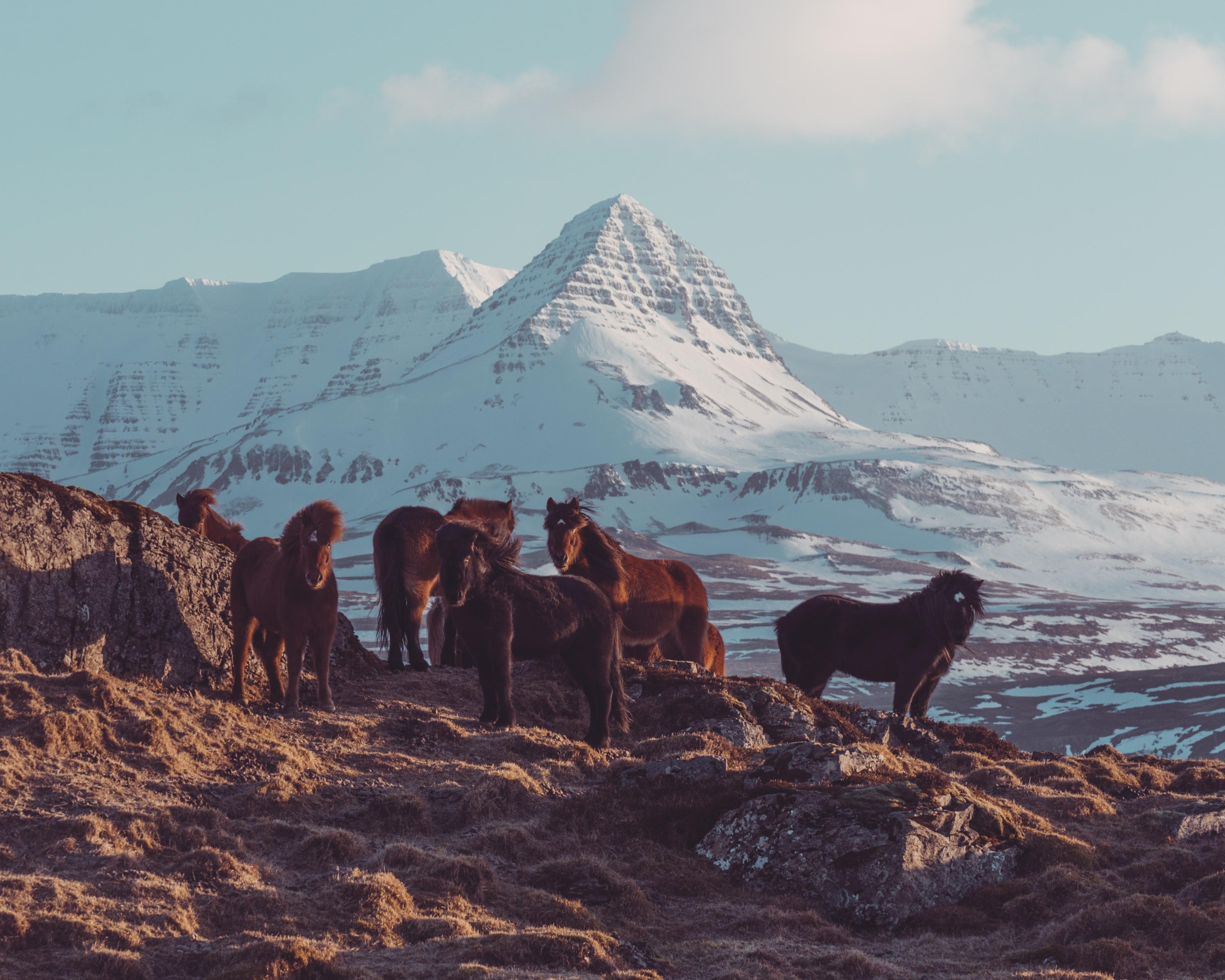 Rondje IJsland