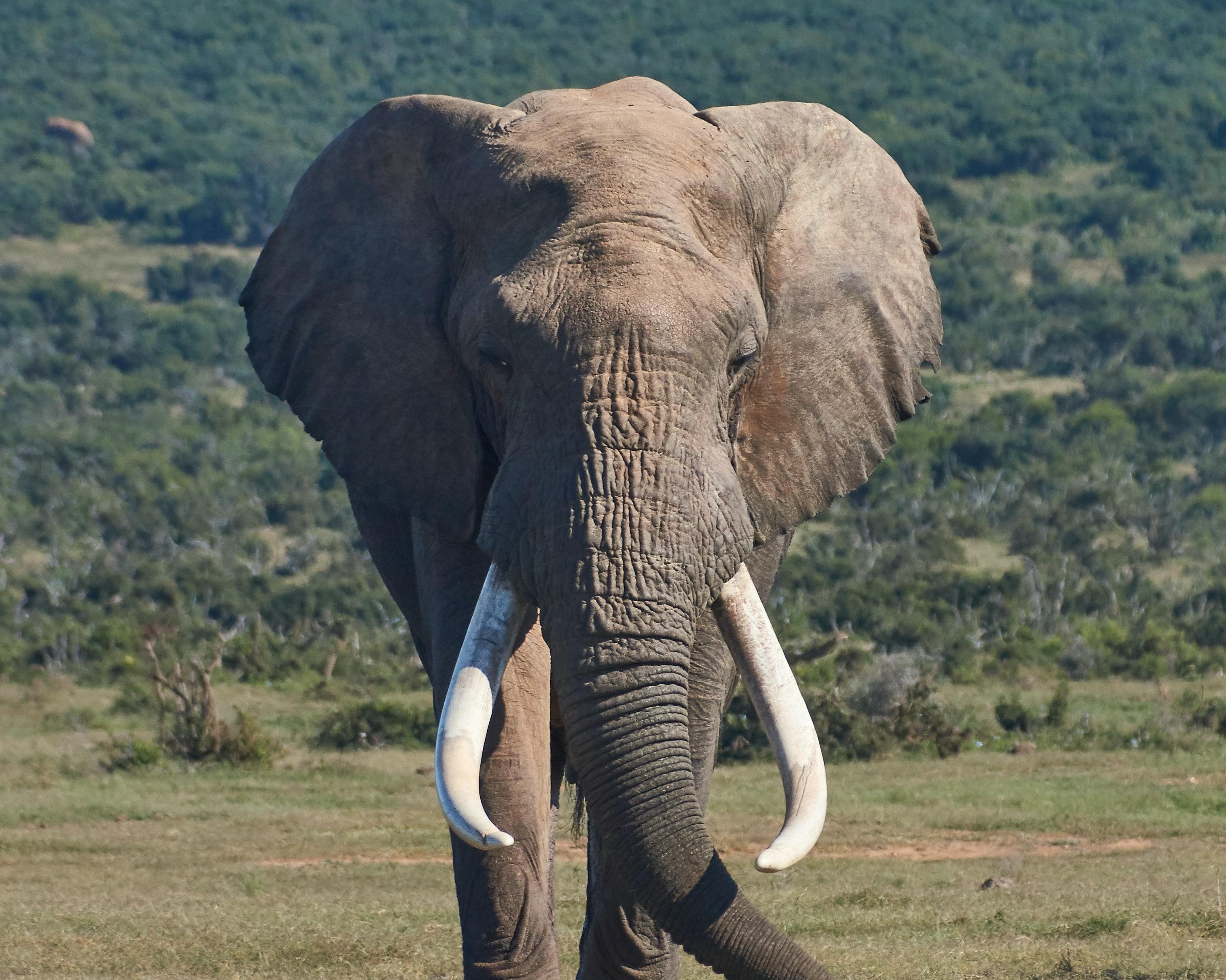 Het beste van Zuid-Afrika