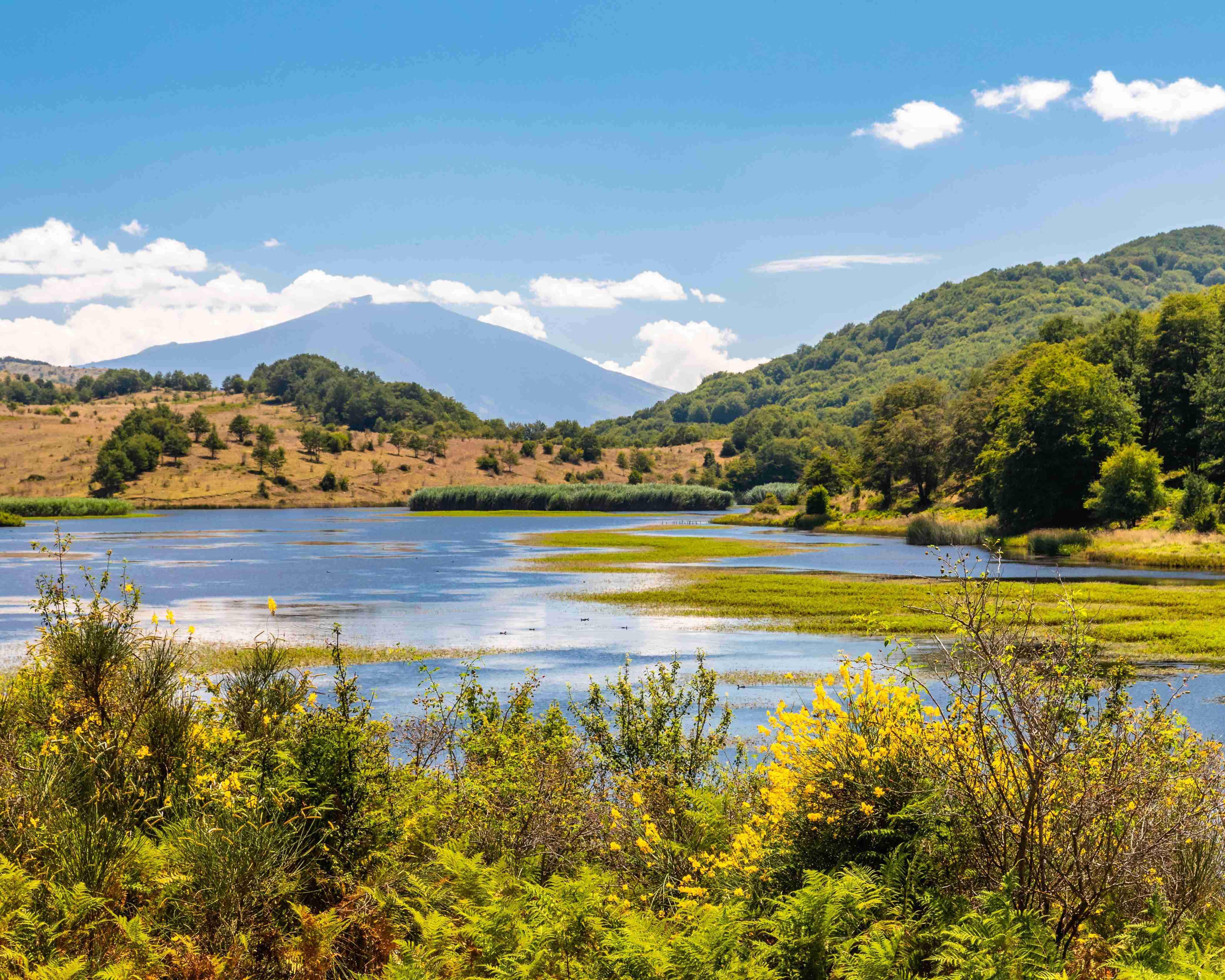 Timbavati Private Nature Reserve, South Africa
