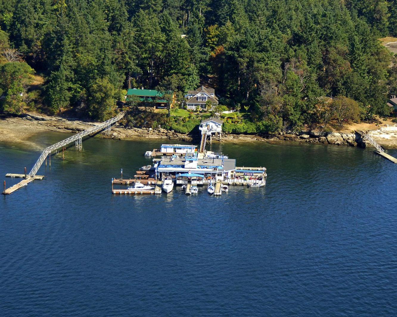 De beren en walvissen van Vancouver Island