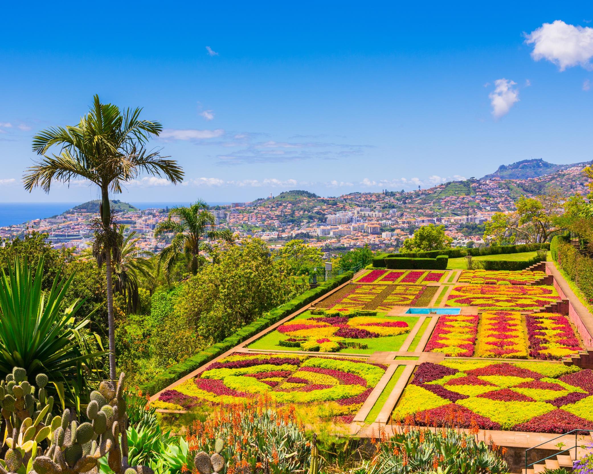 Flydrive kleurrijk Madeira - 8 dagen afbeelding
