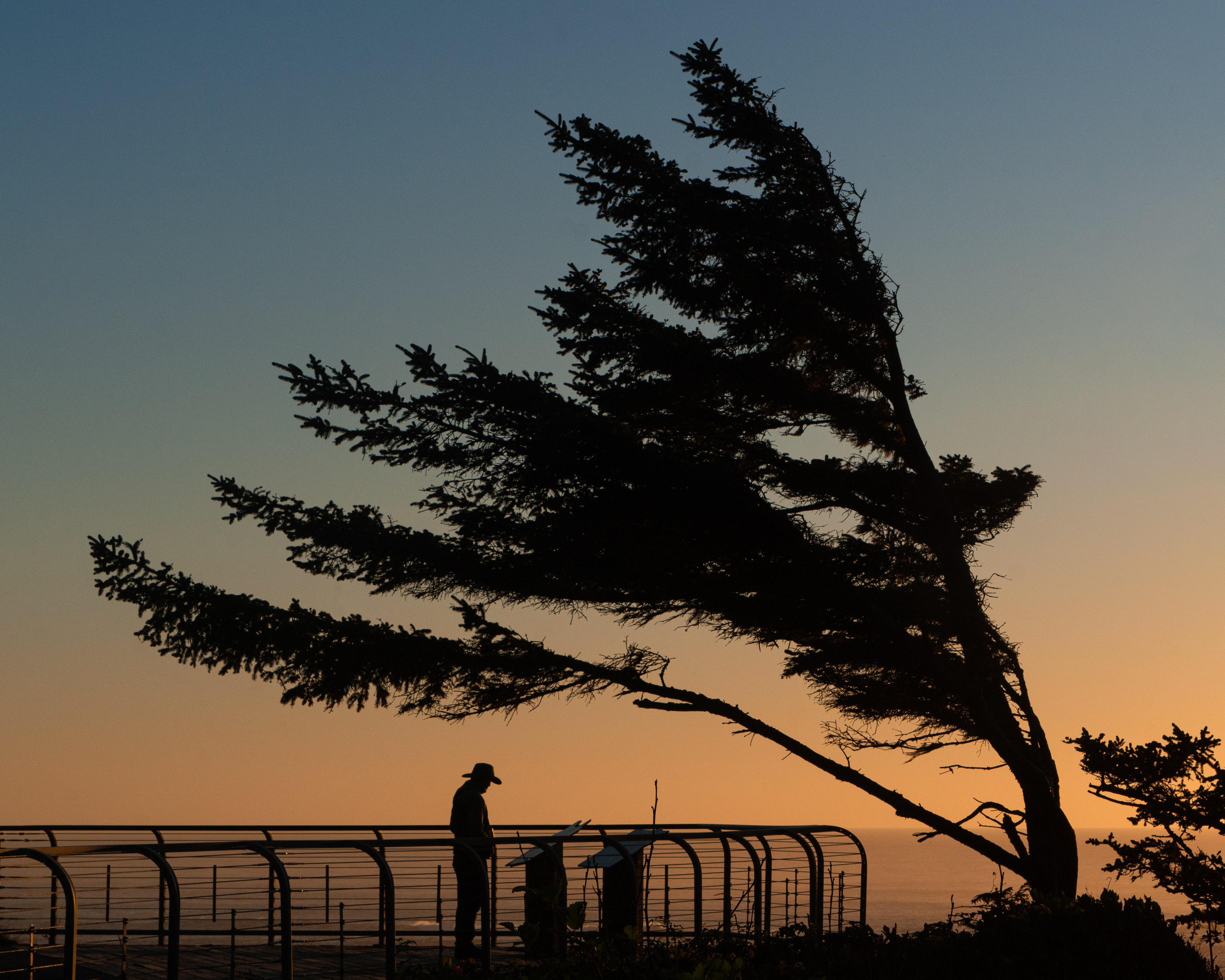 Pacific Coast Explorer