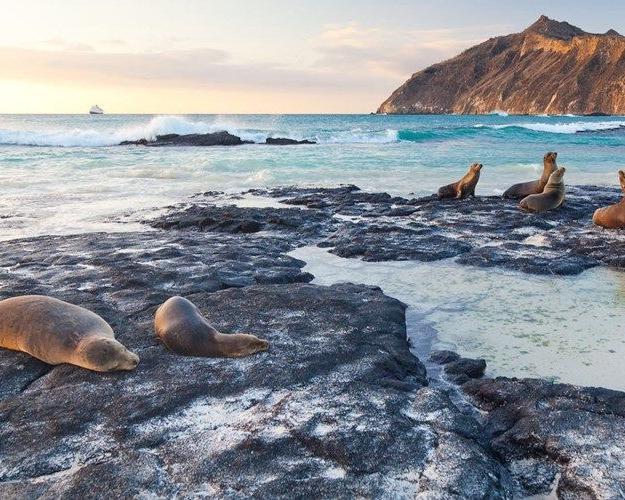 Kreuzfahrt auf der Galapagos Legend "Süd"