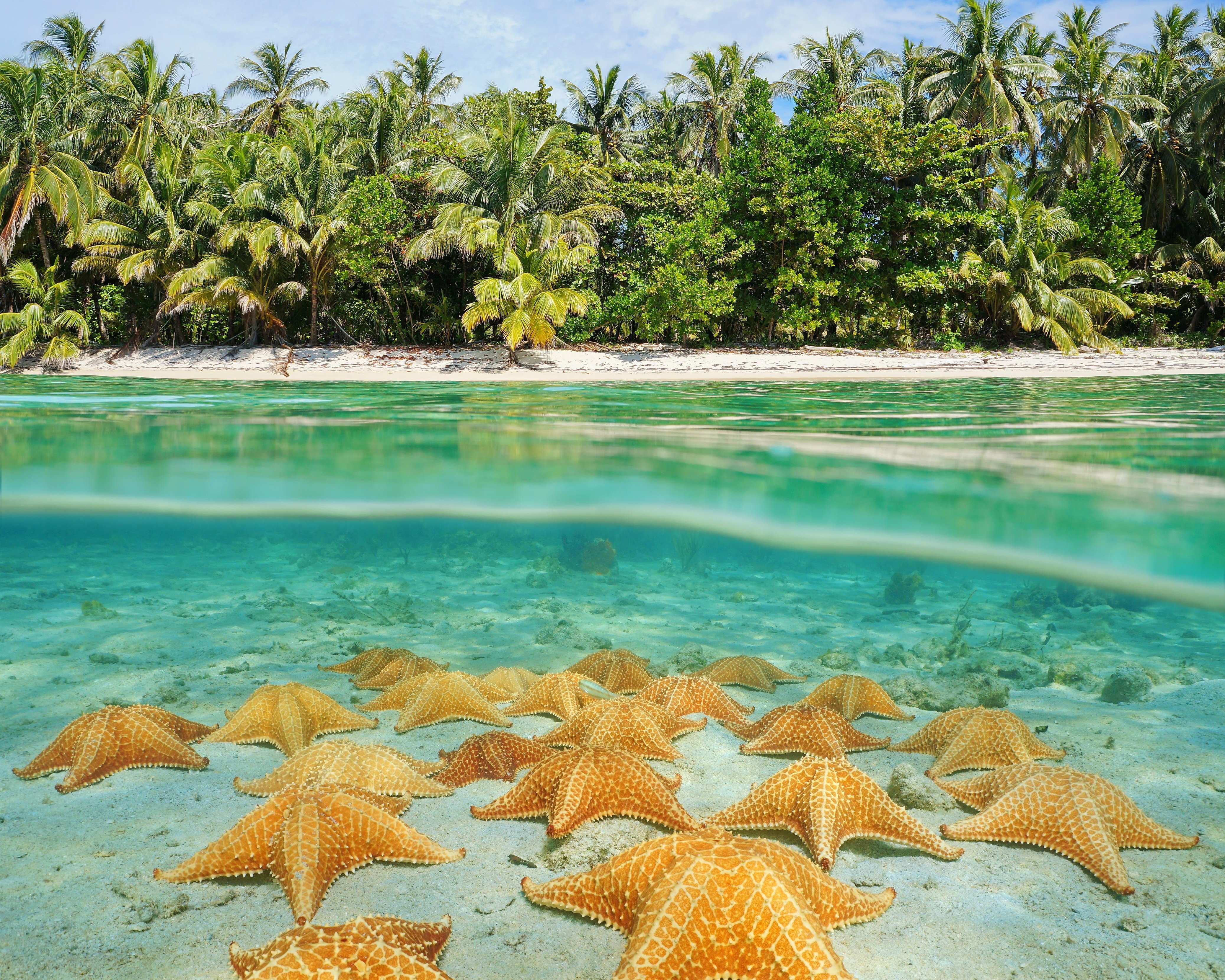 Bocas del Toro, Panama