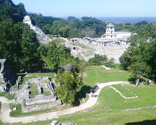 Imagen 6