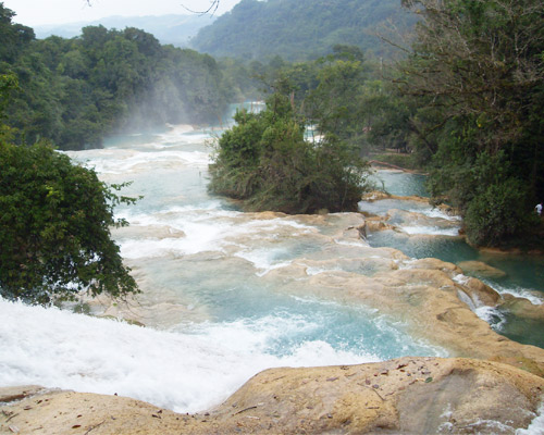 Imagen 5