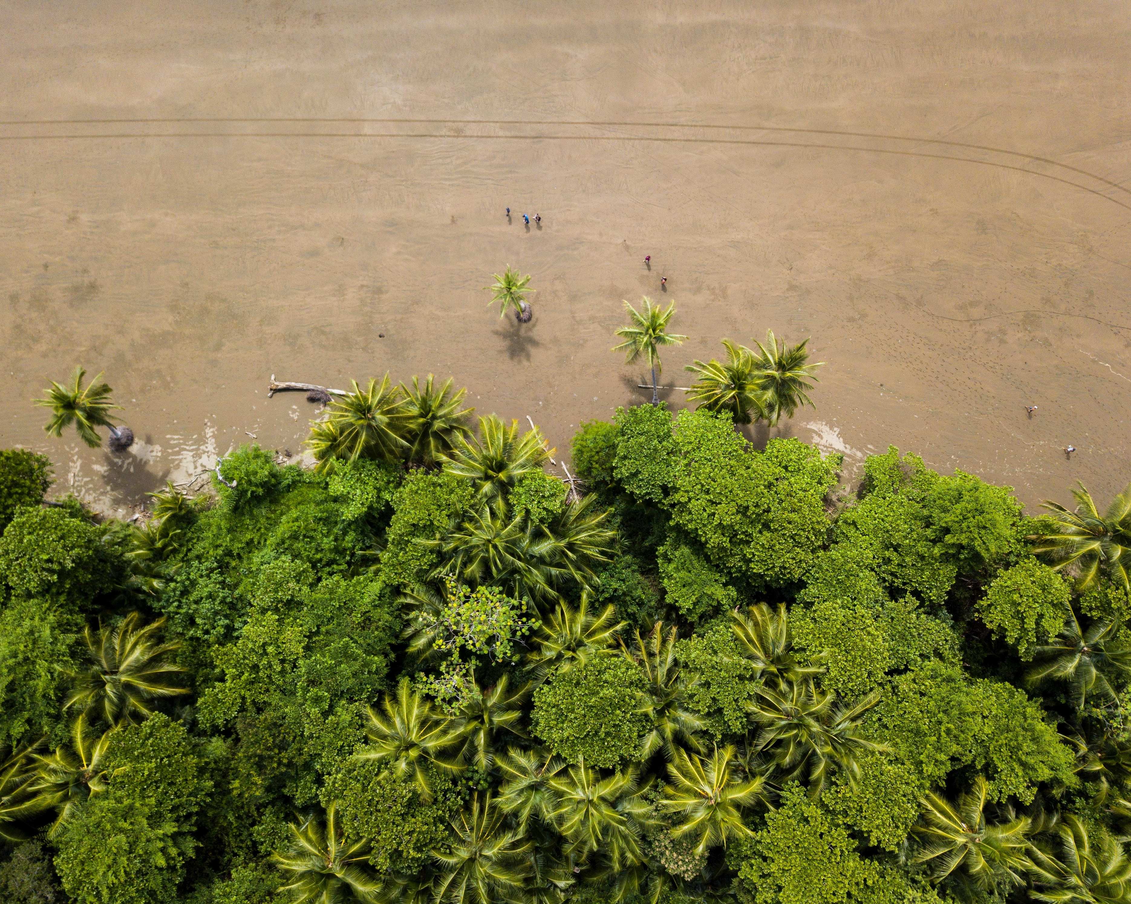 Het beste van Costa Rica