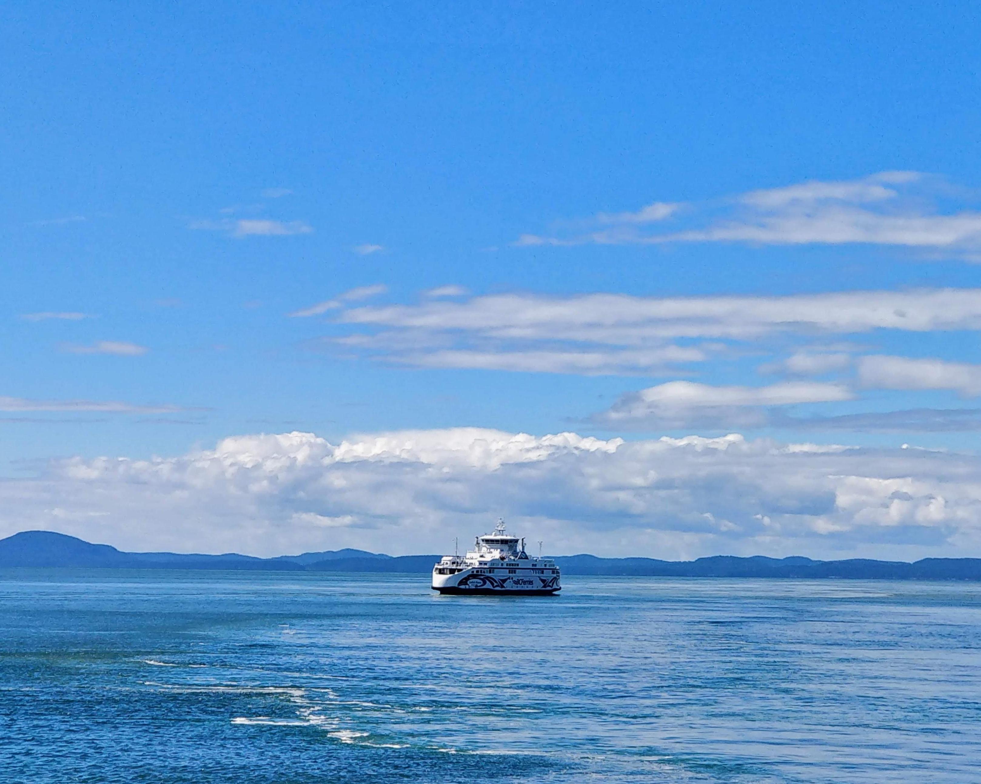 De beren en walvissen van Vancouver Island