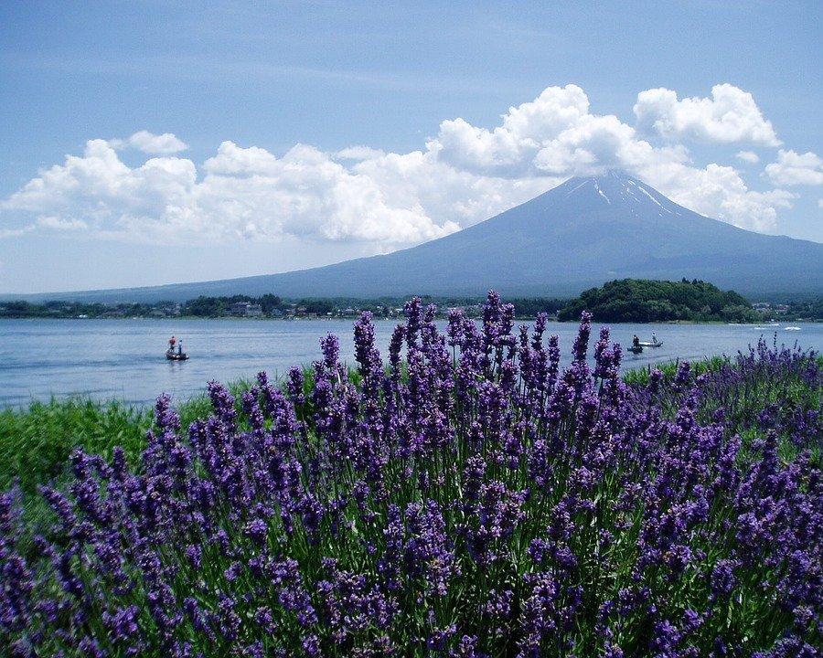 Circuit Japonia & Fuji Lakes, 9 nopti