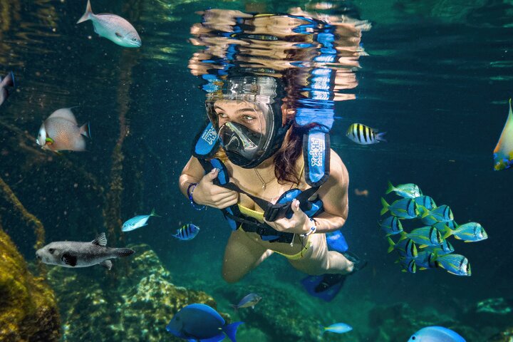 Descopera cu familia: Riviera Maya, Mexic - februarie 2025