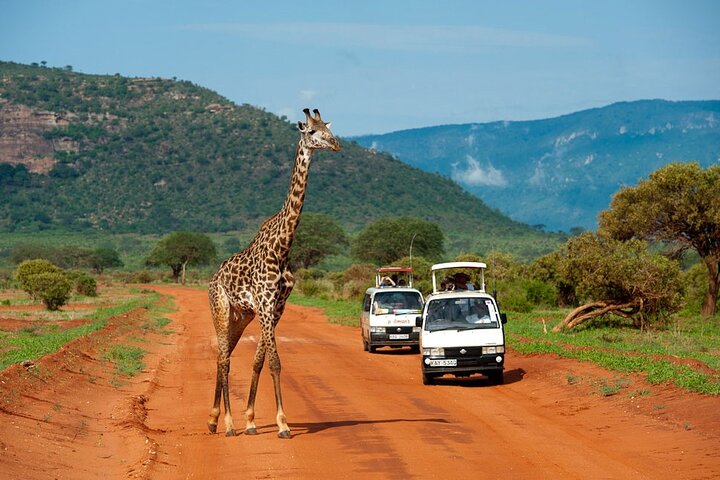 Sejur plaja Diani Beach & safari Tsavo Est, Kenya - 21 august 2026