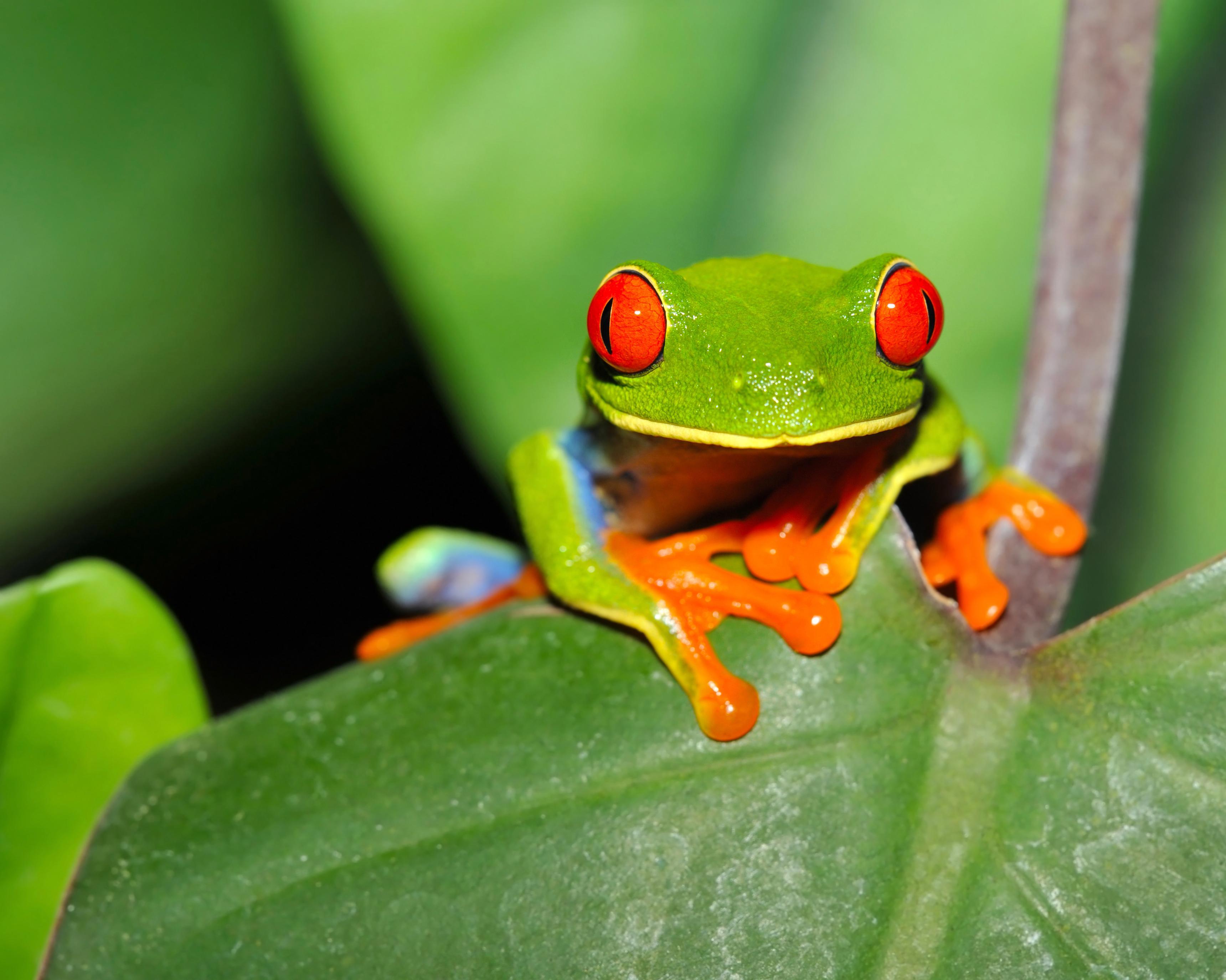 San Jose, Costa Rica