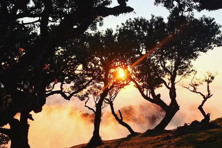 Sejur charter Madeira, Portugalia - octombrie