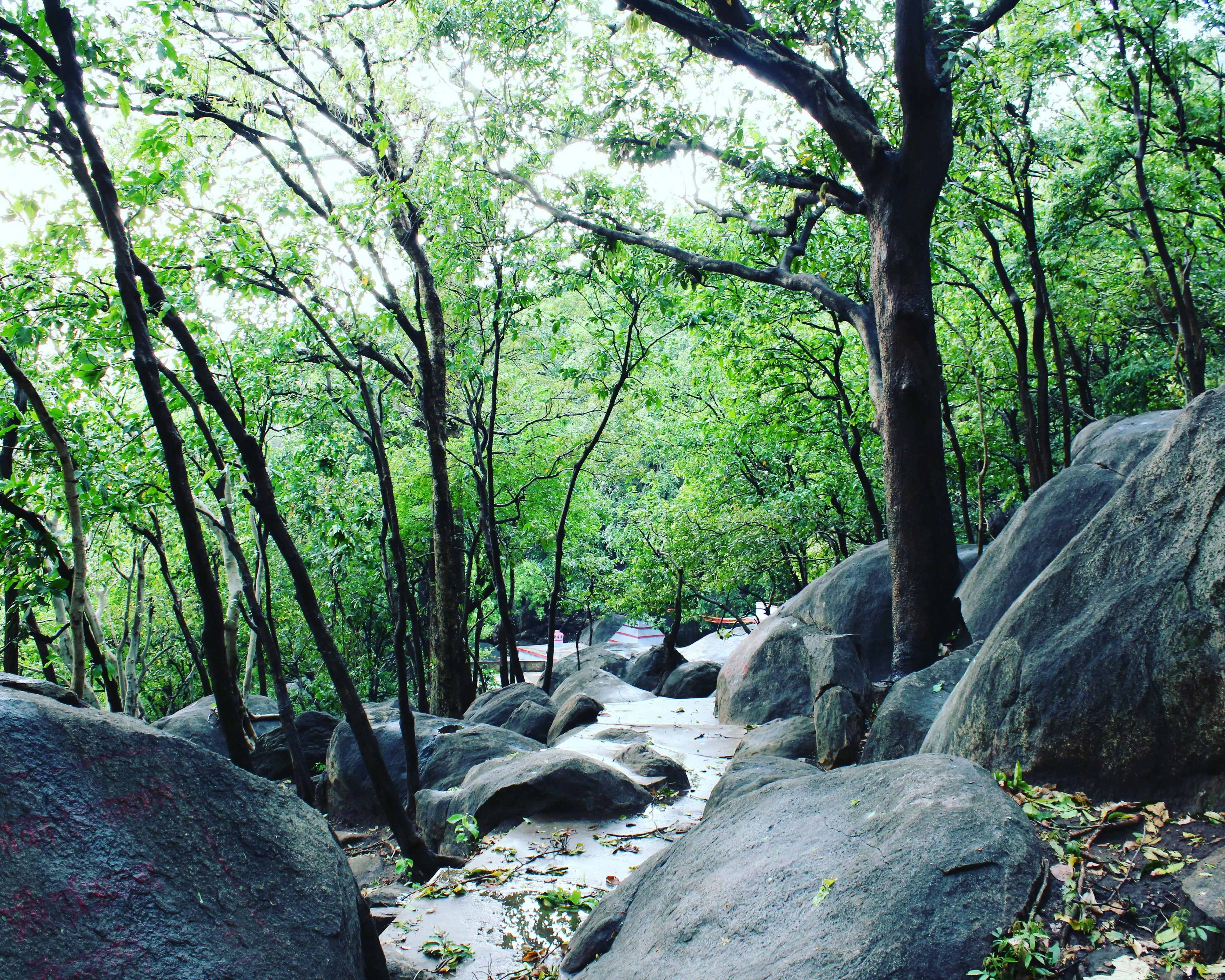 Deoghar, India