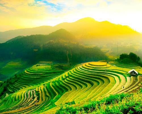 Instagram Tour Vietnam  - Noiembrie 2025