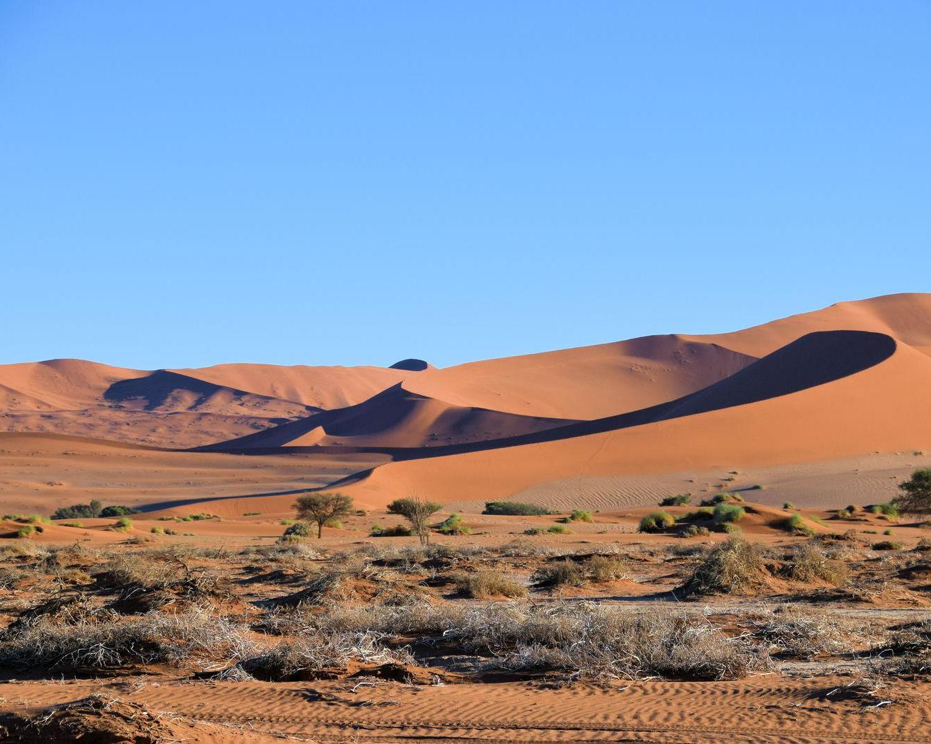 Het zuiden van Namibië