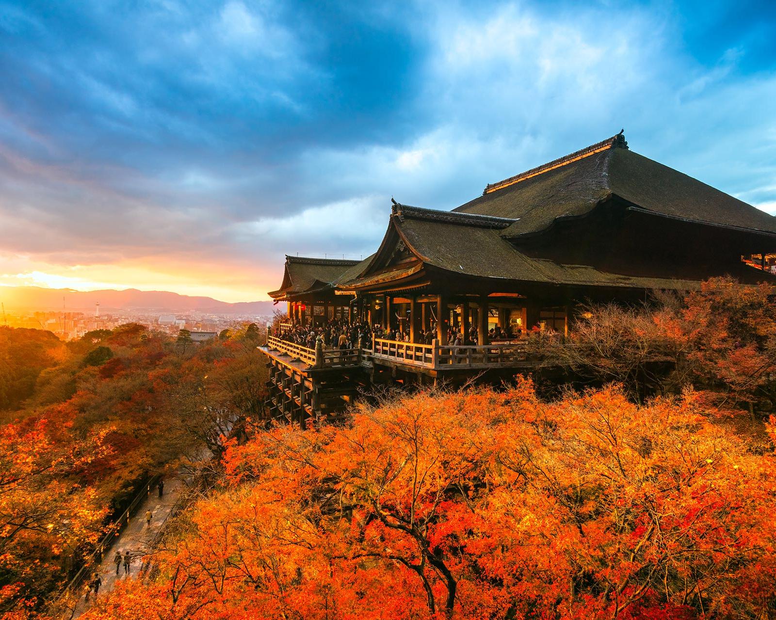 Istorie & Gastronomie - Circuit Japonia, noiembrie 2025