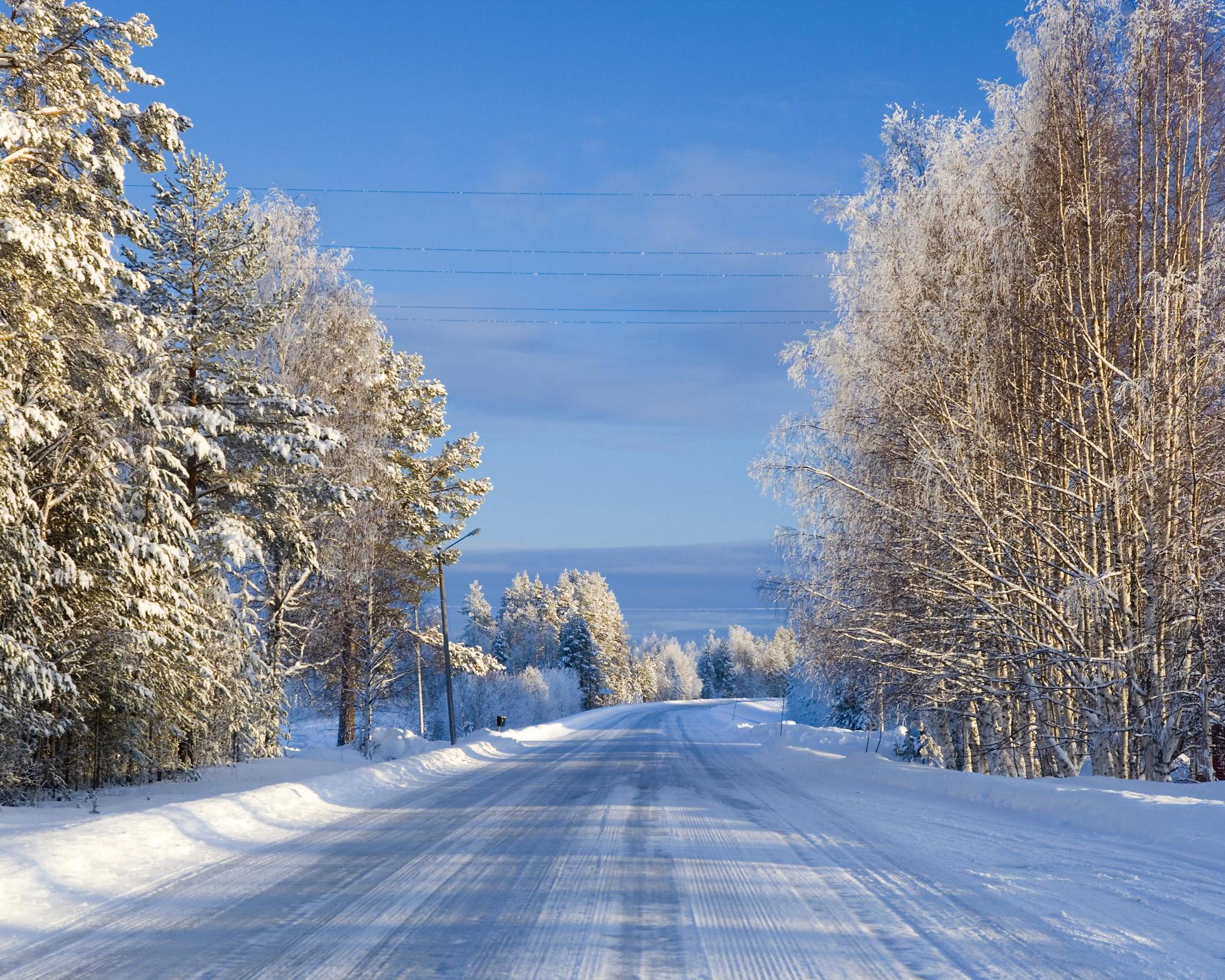 11-daagse roadtrip door winters Zweden: natuur & avontuur afbeelding