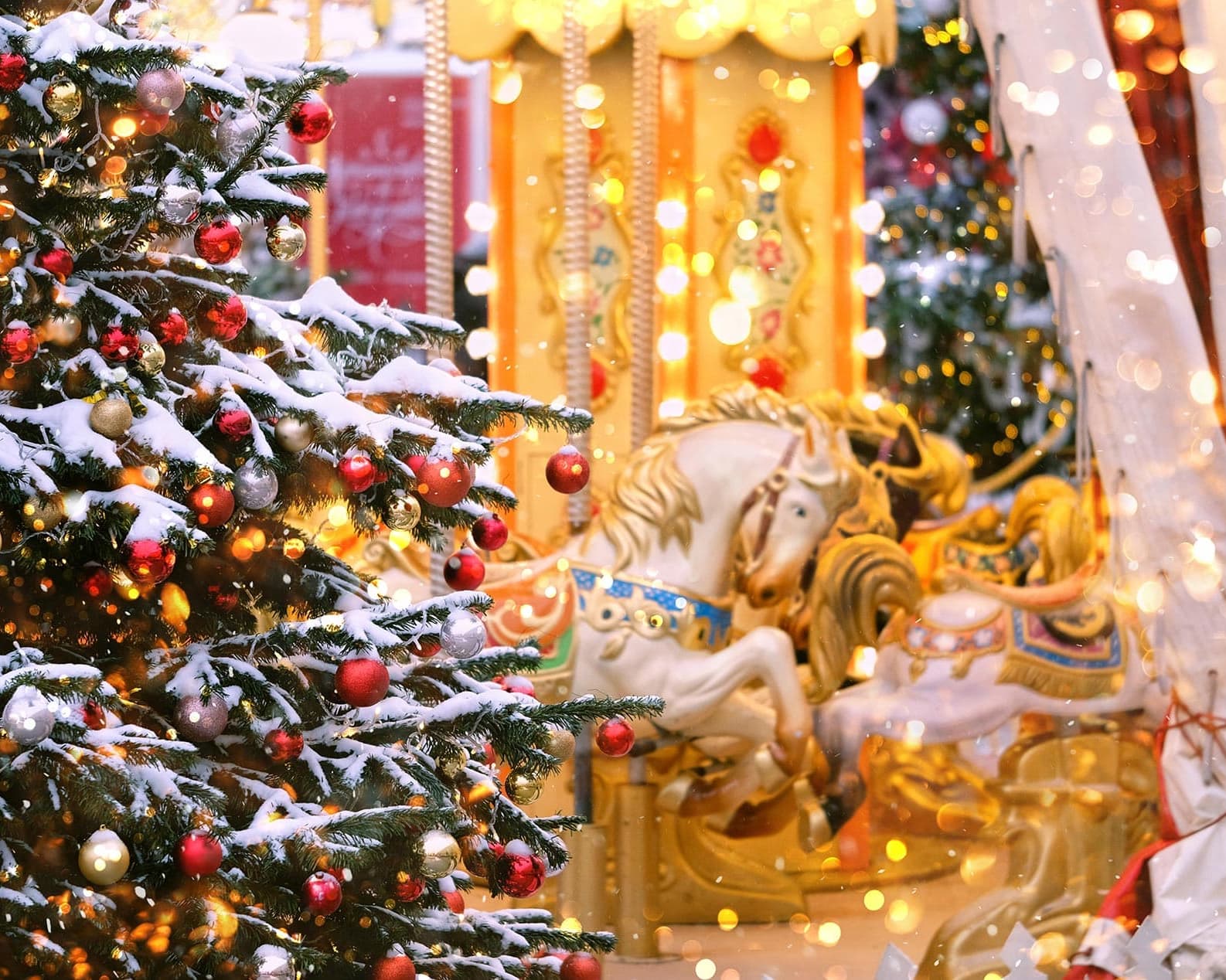 Piata de Craciun Roma, Italia - decembrie