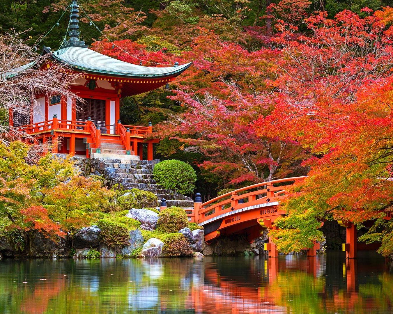  Circuit Japonia - Koyo & Okinawa - octombrie