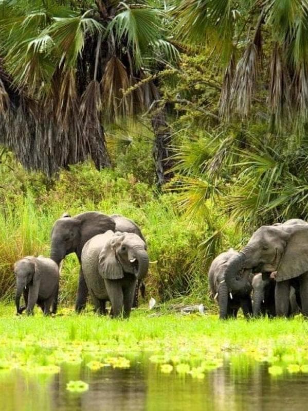 Africa