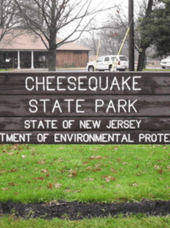 5. Cheesequake – Estados Unidos