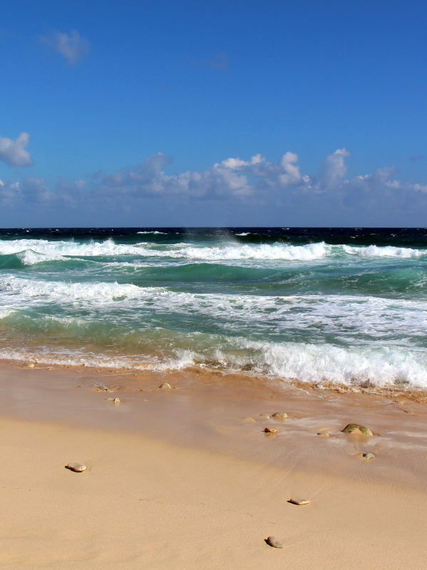 Best beaches