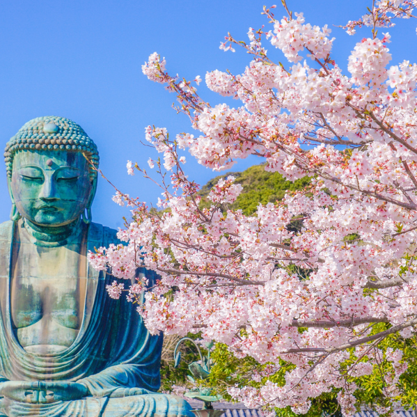 ¿Cuál es la mejor época para viajar a Japón?
