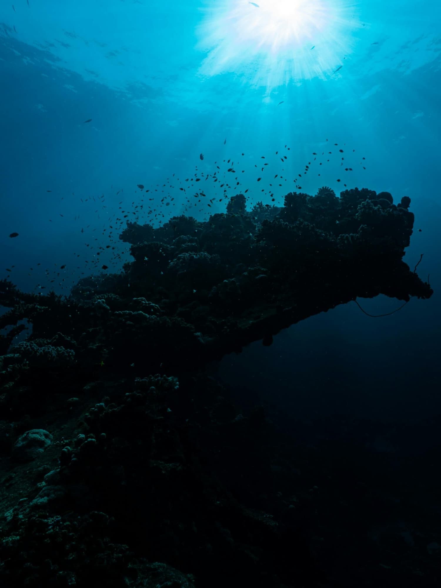 Explorez la dernière frontière de la mer Rouge