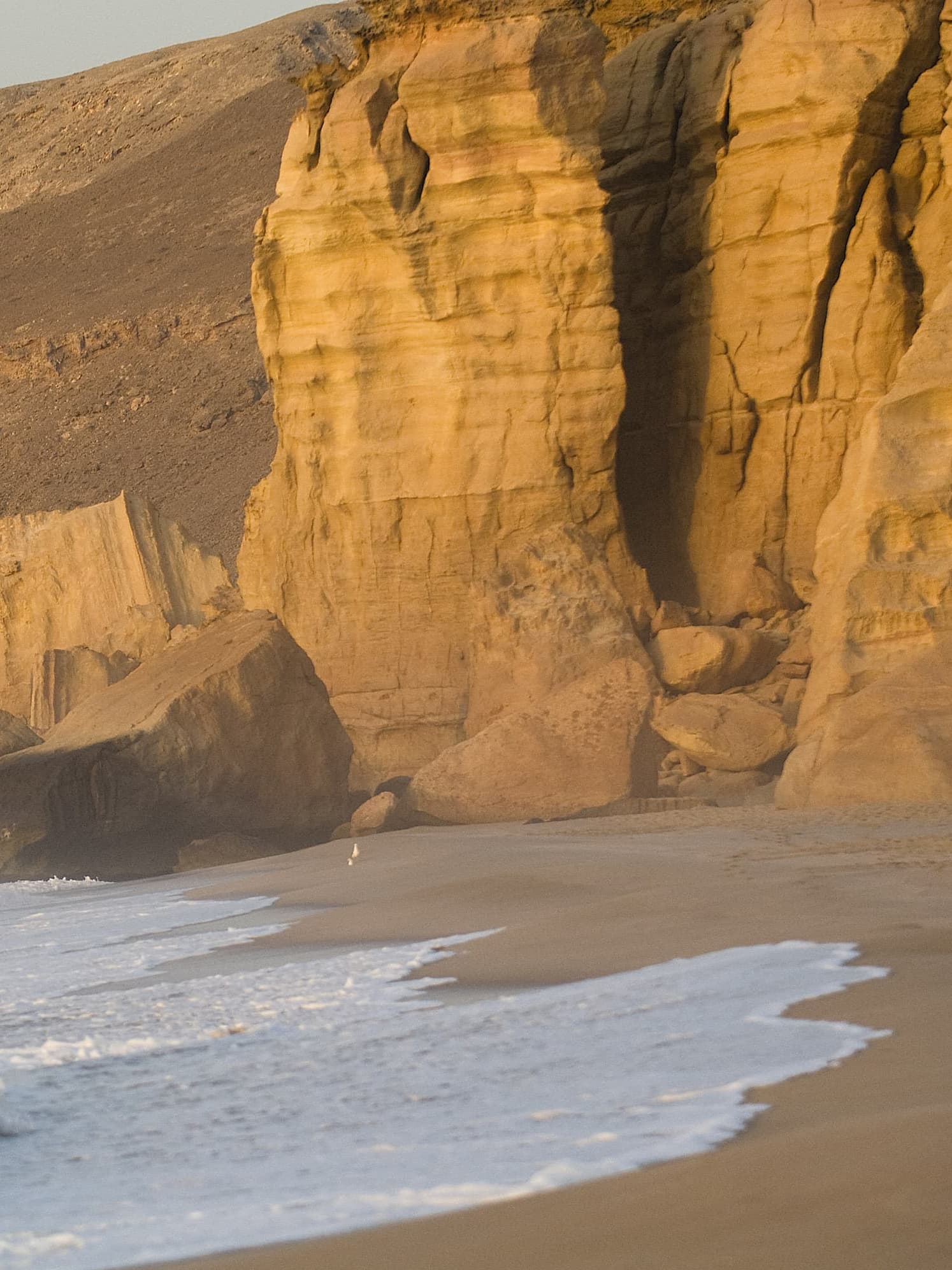Un éden préservé sur le golfe d’Oman