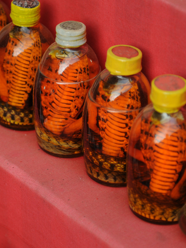 Se bebe vino de serpiente (sí, con serpiente dentro)