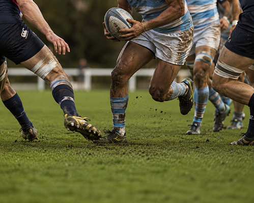 Rugby Nations Championship Italia vs Argentina - 14 noviembre